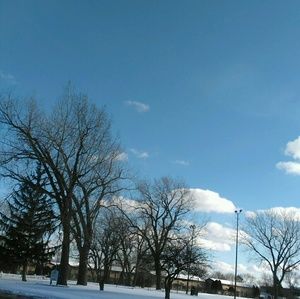 Meet your Posher, Cesar